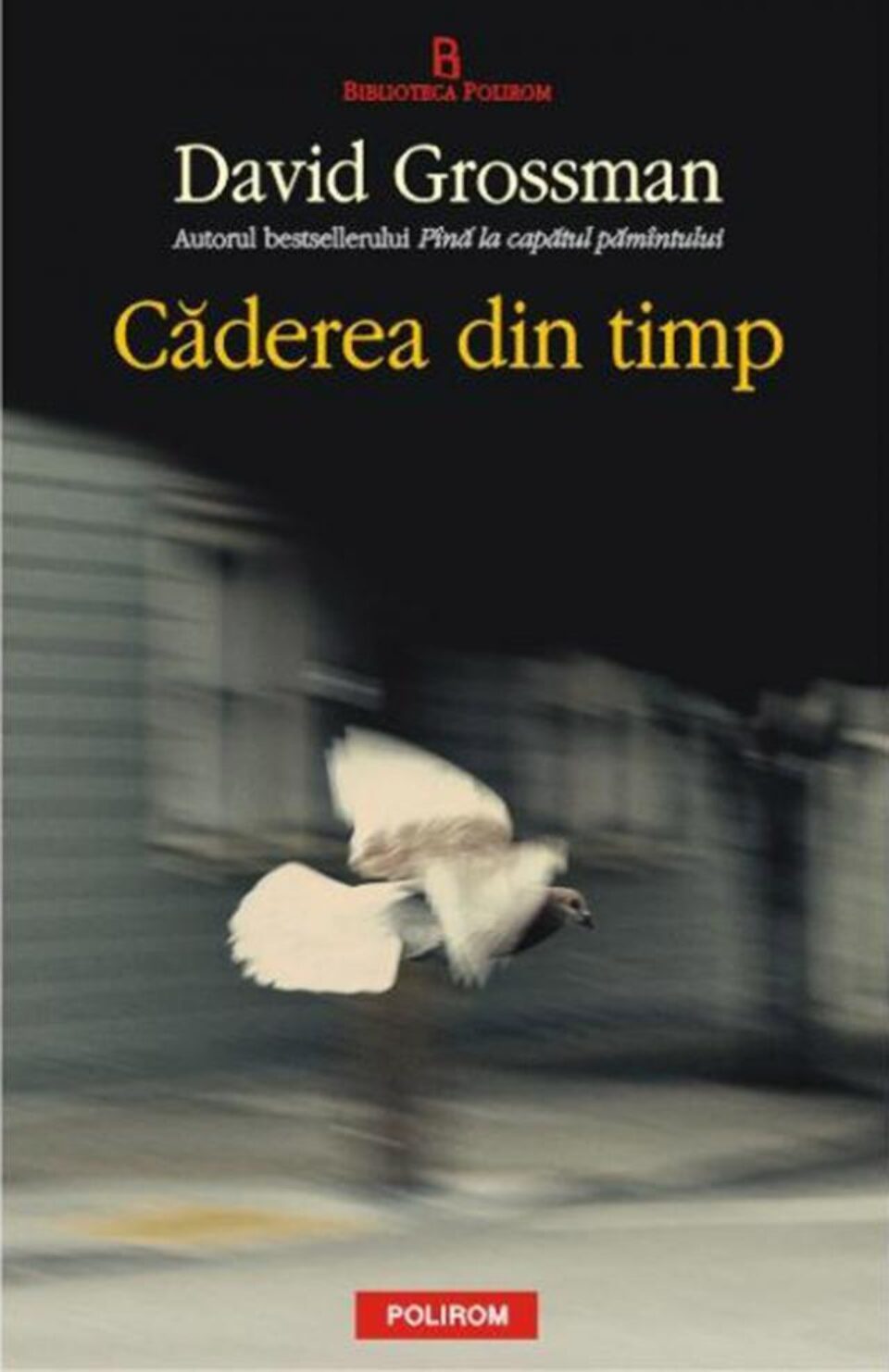 David Grossman: „Căderea din timp”