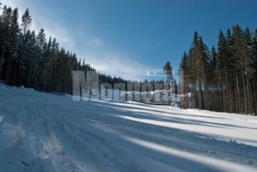 Pârtia de schi tronson 1 - plecare de la stația intermediară (cotă 1220m)