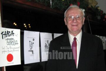 Artistul plastic Radu Bercea