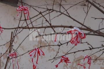 Acțiuni organizate de elevi de la Palatul Copiilor Suceava în prag de primăvară