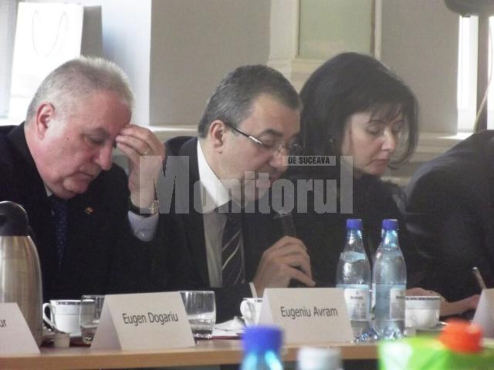Prefectul județului Suceava, Florin Sinescu, membru al delegației române la sesiunea Comisiei Mixte Româno - Germane pentru problemele etnicilor germani