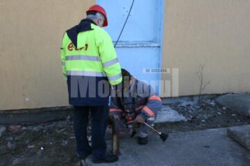 Specialiștii E. ON au efectuat măsurători la fața locului