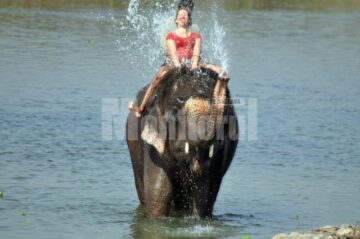 Elefanții le oferă turiștilor câte o baie în Parcul Național Chitwan