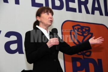 Monica Macovei a precizat că un obiectiv al echipei sale este acela ca filialele locale să aibă independență totală