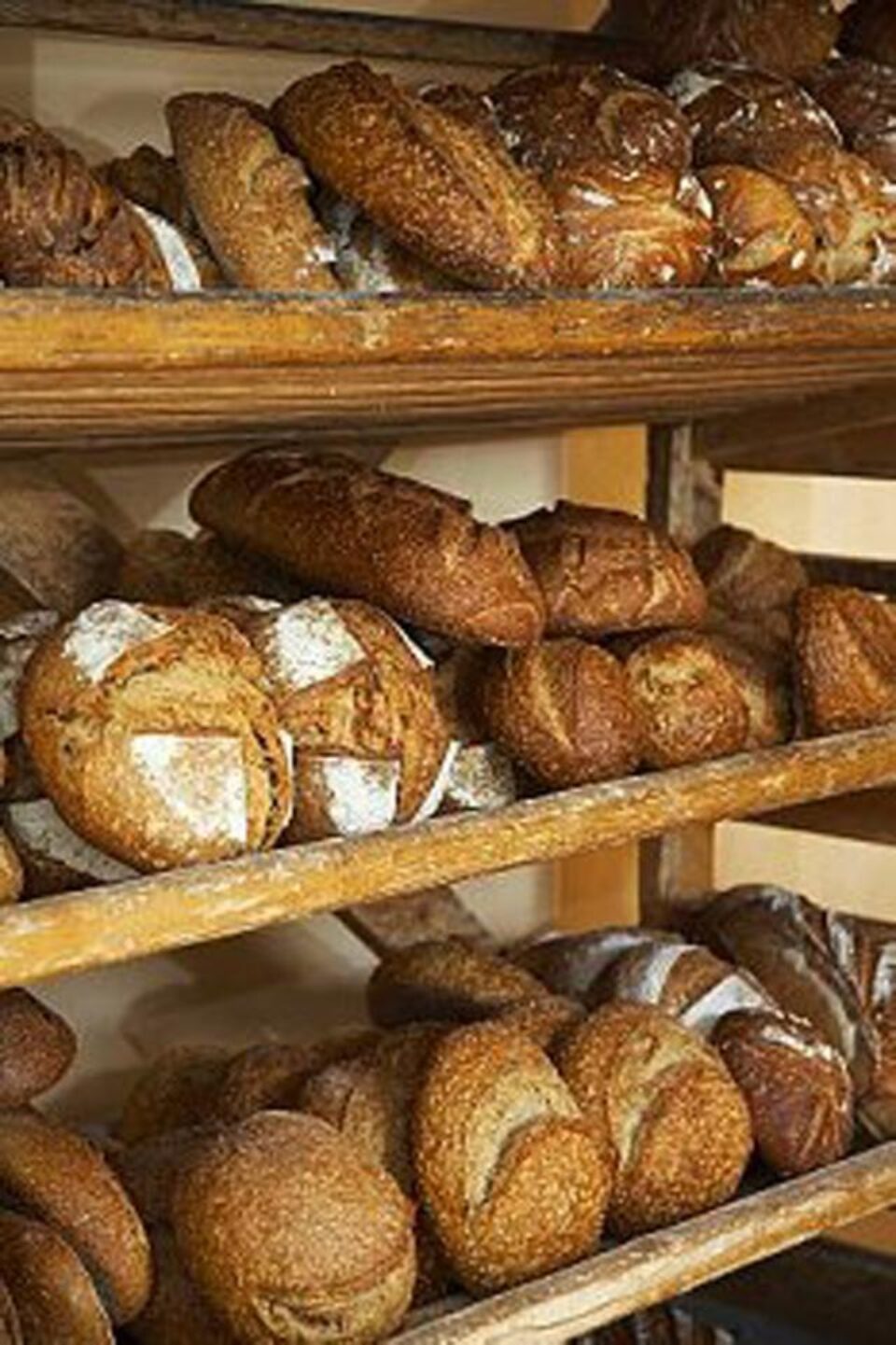 Prețul pâinii ar putea crește, din cauza scumpirii cerealelor Foto: Corbis Prețul pâinii ar putea crește, din cauza scumpirii cerealelor Foto: Corbis
