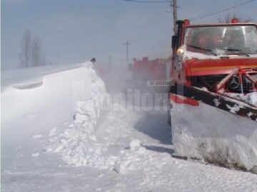 Ninsoarea mieilor a dat peste cap tot județul