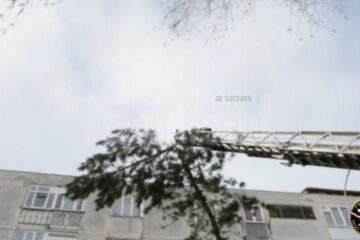 Intervenția de pe strada Tineretului
