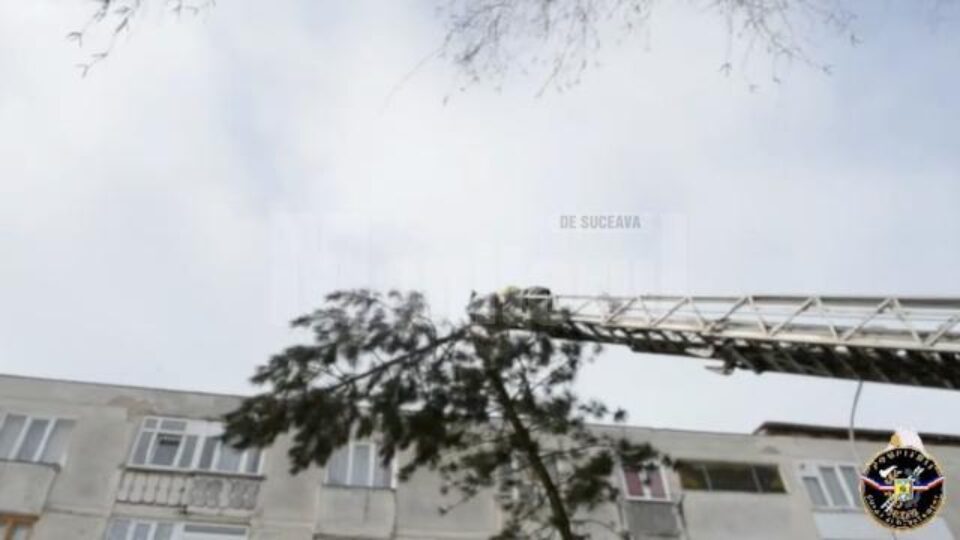 Intervenția de pe strada Tineretului