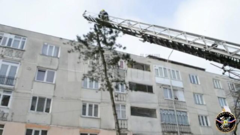 Intervenția de pe strada Tineretului