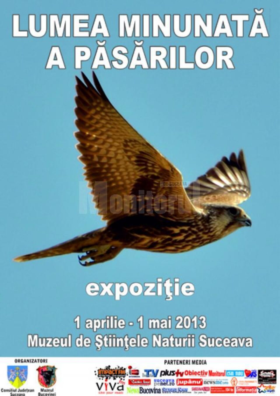 expoziție