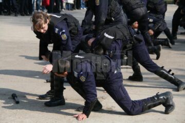 demostrație luptă jandarmi