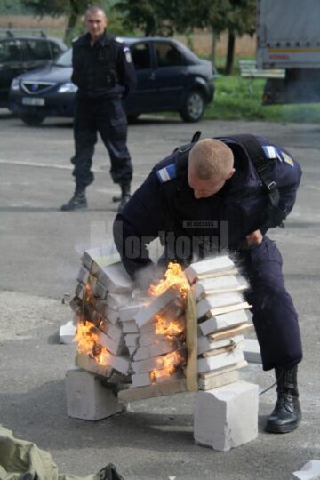 Detașamentul de intervenție al Jandarmeriei va prezenta numeroase exerciții demonstrative