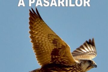 Lumea minunată a păsărilor