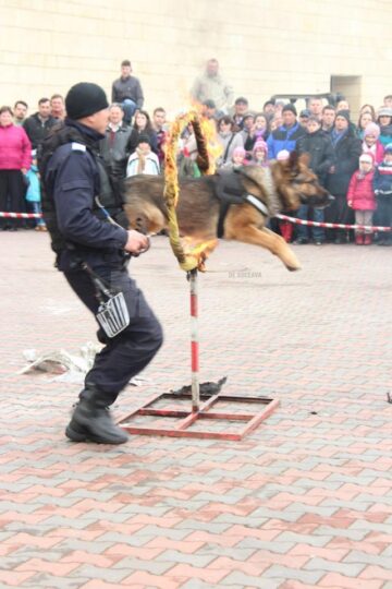 Un moment apreciat a fost numărul de dresaj al câinilor