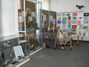 Expoziția temporară „Lumea minunată a păsărilor”