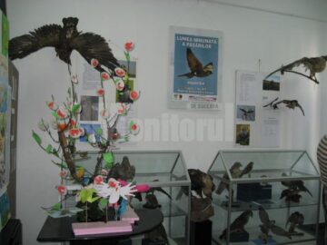 Expoziția temporară „Lumea minunată a păsărilor”