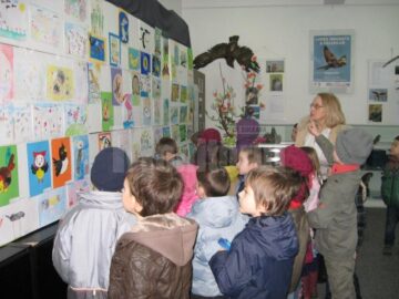 Expoziția „Lumea minunată a păsărilor”