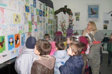 Expoziția „Lumea minunată a păsărilor”