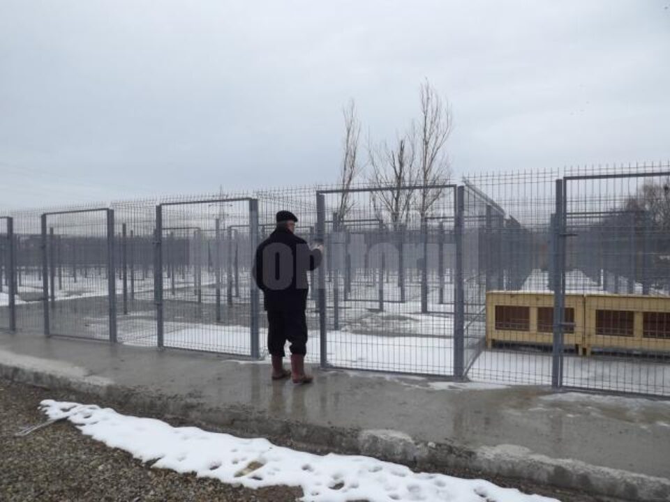 Primarul Sucevei a verificat stadiul lucrărilor de amenajare a noului țarc pentru câini