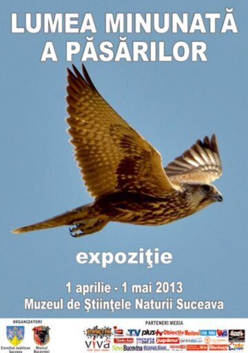 Expoziția temporară „Lumea minunată a păsărilor”