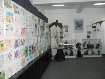 Expoziția temporară „Lumea minunată a păsărilor”