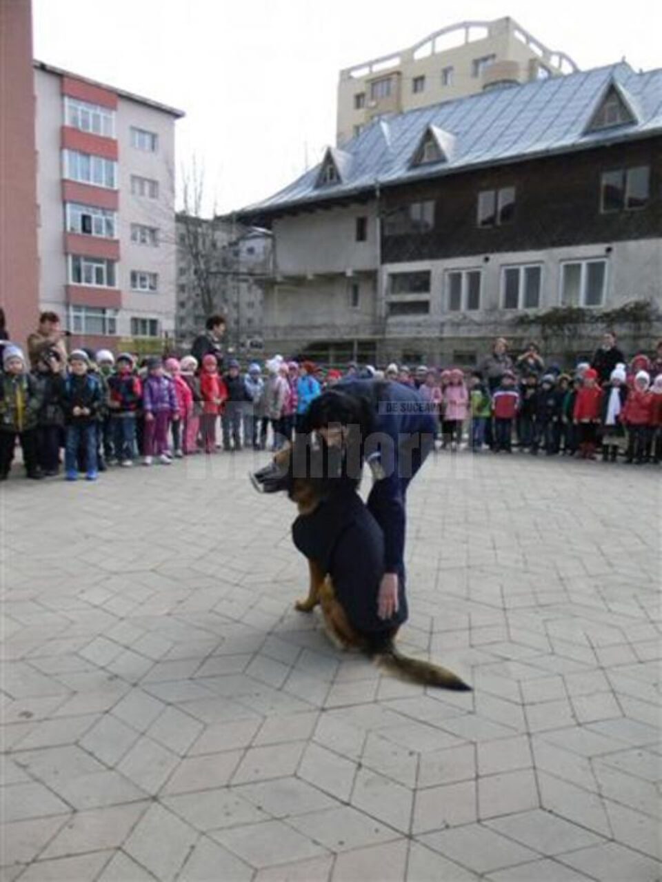 Micuții au observat cum câinele este partener de nădejde al agentului de poliție