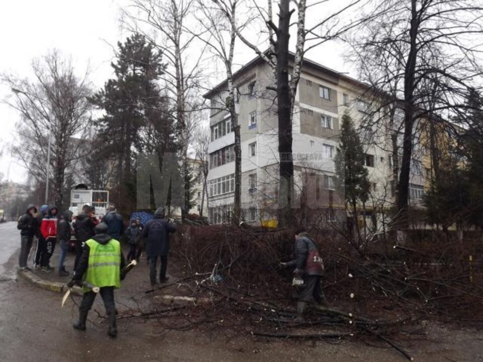 Spațiul verde al unui bloc de pe strada Mărășești, „confiscat” de fiul primarului de Slatina