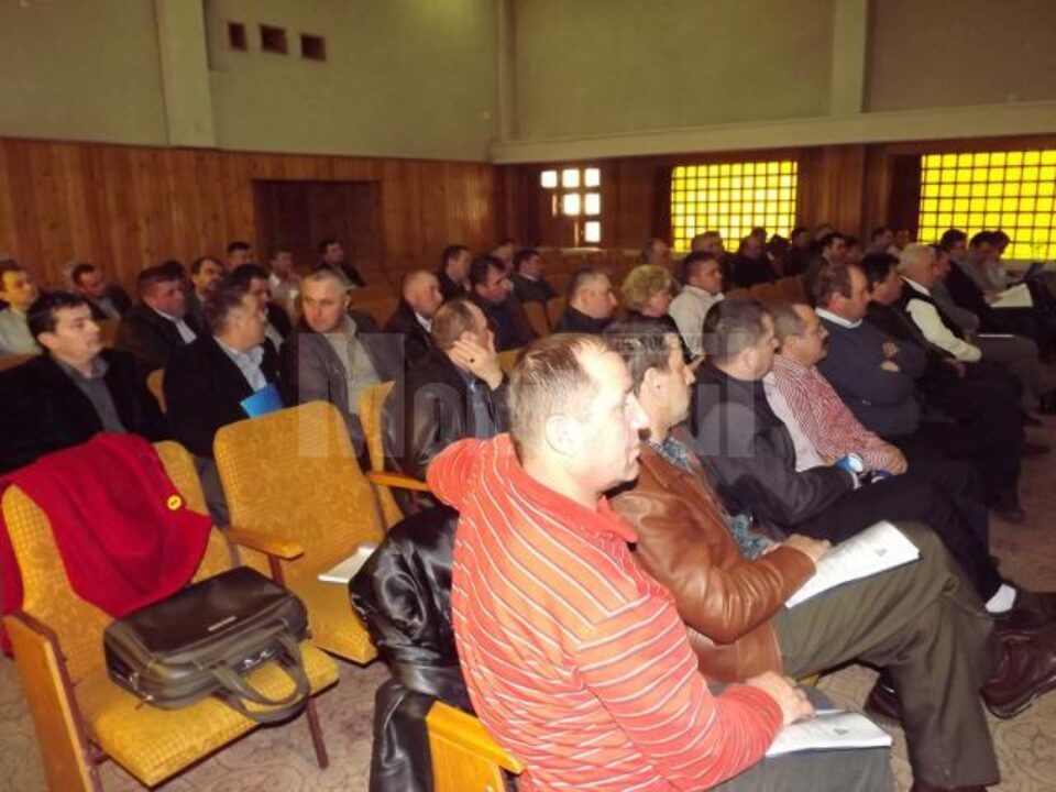 Procesatorii de lemn suceveni și-au exprimat nemulțumirile vizavi de prevederile unui nou Cod Silvic, aflat în dezbatere publică
