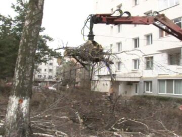 Jandarmii și polițiștii, chemați să stopeze distrugerea spațiului verde de pe strada Mărășești