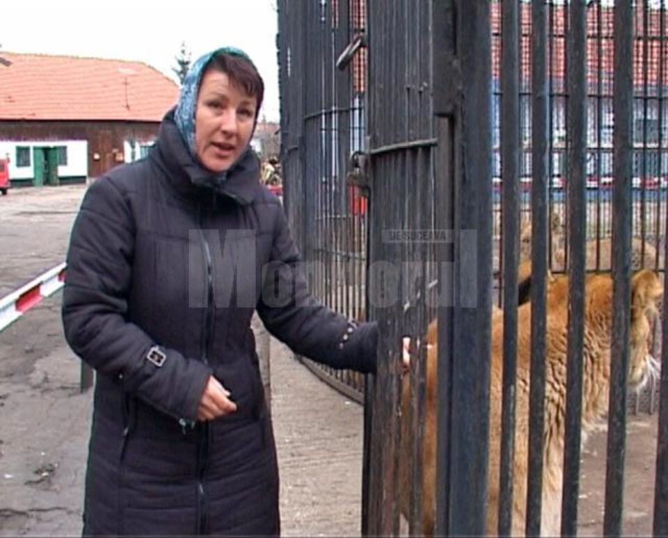 Angelica Olenici: ”A fost o imprudență că a intrat într-o zonă în care nu avea ce să caute, mai ales sub privirile unui adult”