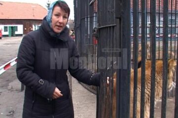 Ana Angelica Olenici, cea care este și asistent veterinar în cadrul parcului zoo, este cercetată pentru săvârșirea infracțiunii de vătămare corporală din culpă