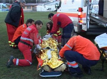 Din cauza gravelor arsuri suferite, bărbatul în vârstă de 49 de ani și fata de 13 ani au fost duși cu elicopterele la Spitalul de Arși de la București