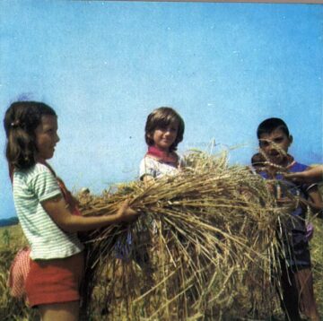 Muncile agricole erau o constantă în viața elevilor dinainte de ’89
