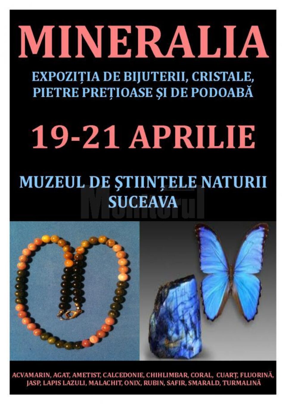 expoziție