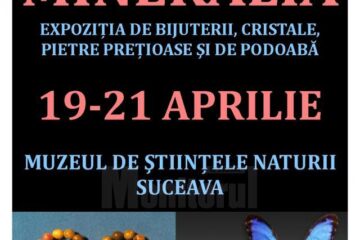 expoziție