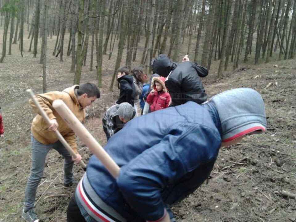 80 de elevi au participat la o activitate de plantare de puieți