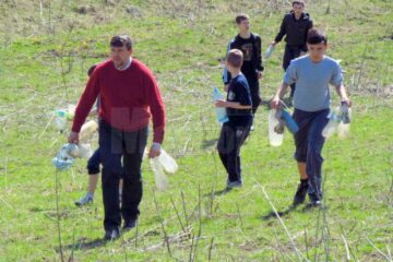 Campanie amplă de plantare de arbori, în Fălticeni