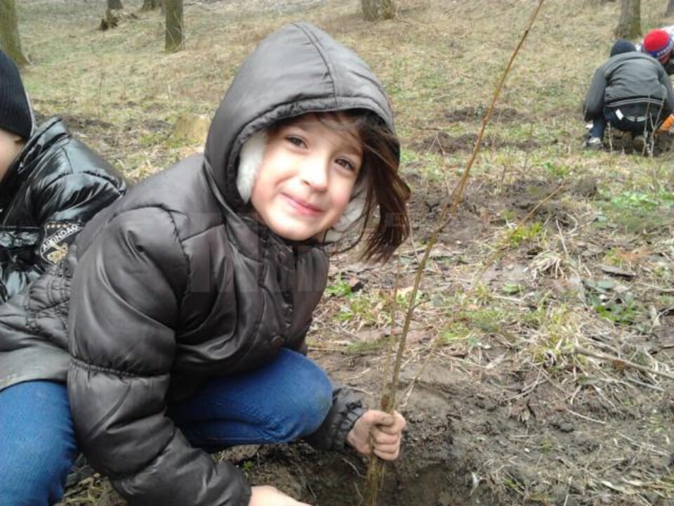 80 de elevi au participat la o activitate de plantare de puieți