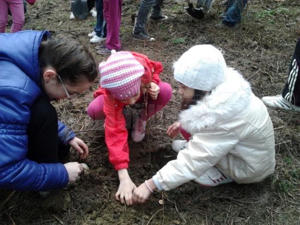 80 de elevi au participat la o activitate de plantare de puieți