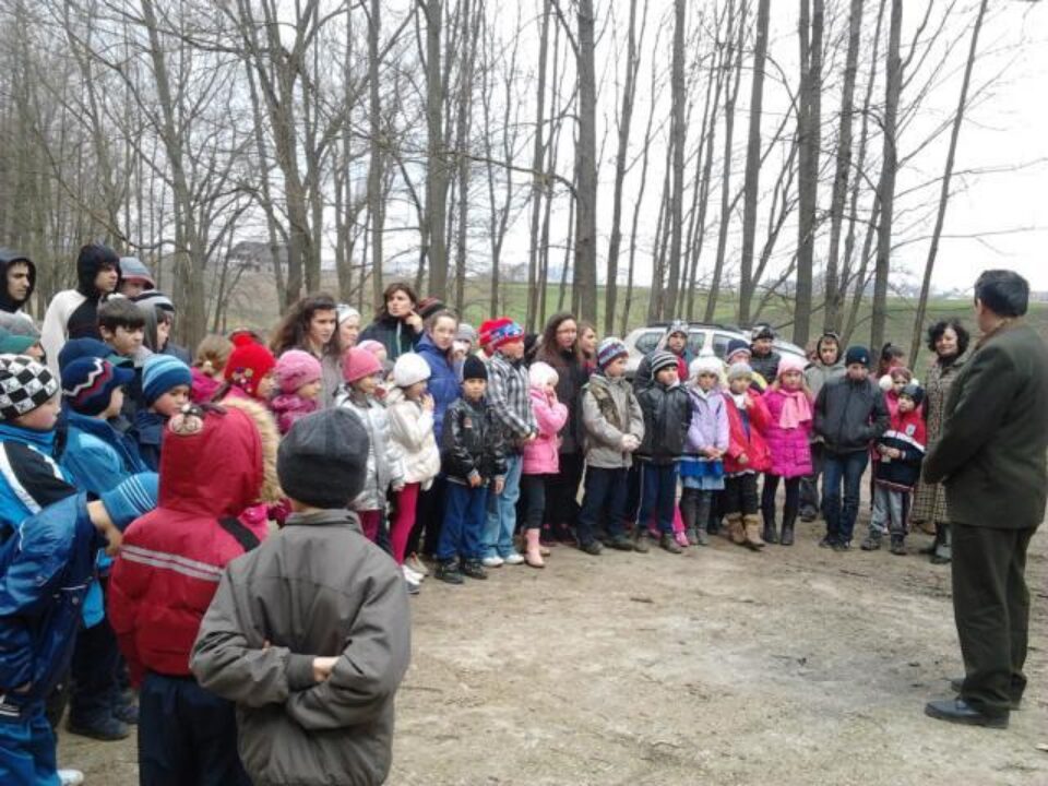 80 de elevi au participat la o activitate de plantare de puieți