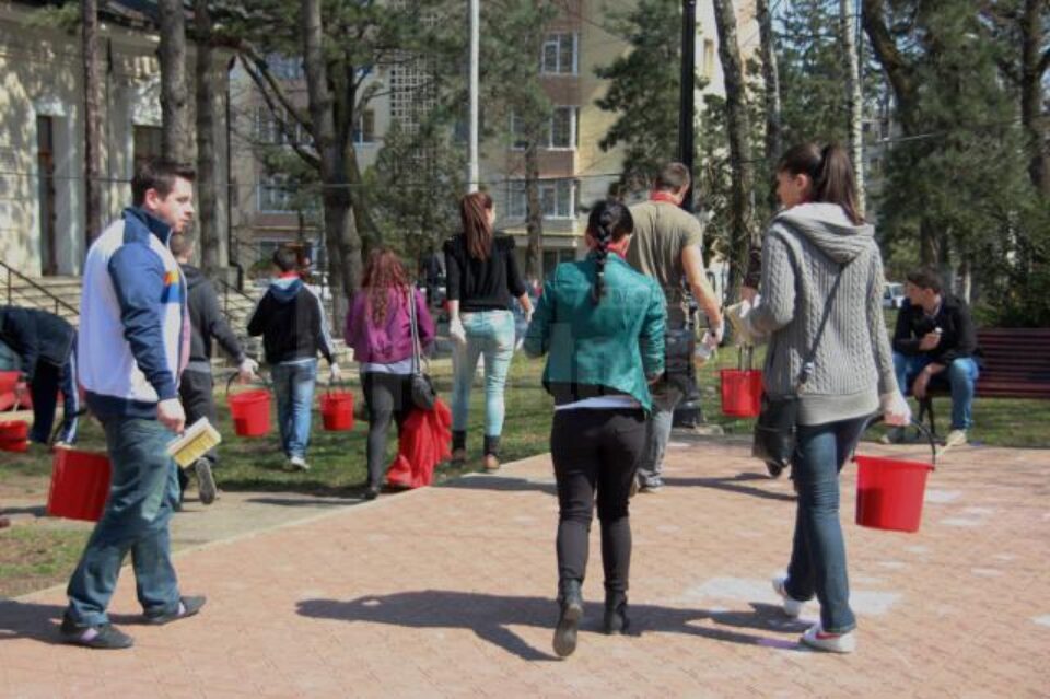 Tinerii social-democrați au văruit arborii din parcul central al Sucevei