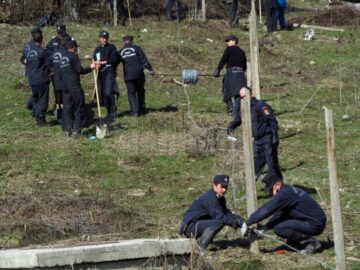 Pompierii s-au implicat în campania „Plantează un arbore”