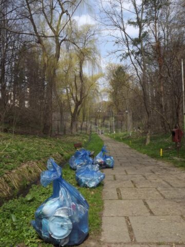Angajații Selgros și elevii a trei școli din Suceava au făcut curat în parcul Șipote
