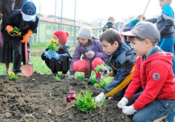 Elevii de la Școala Gimnazială Nr. 8 au plantat panseluțe