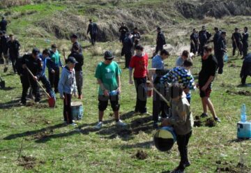 Pompierii s-au implicat în campania „Plantează un arbore”