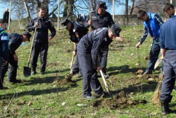 Pompierii s-au implicat în campania „Plantează un arbore”