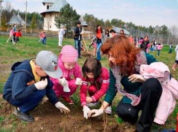 Elevii de la Școala Gimnazială Nr. 8 au plantat panseluțe