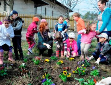 Elevii de la Școala Gimnazială Nr. 8 au plantat panseluțe