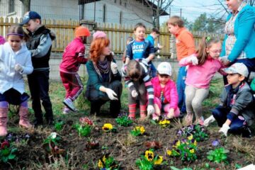 Elevii de la Școala Gimnazială Nr. 8 au plantat panseluțe