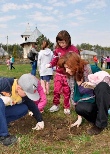 Elevii de la Școala Gimnazială Nr. 8 au plantat panseluțe